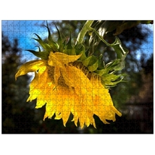 Traditional Jigsaw Puzzles