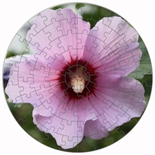 Round Puzzles