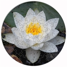 Round Puzzles