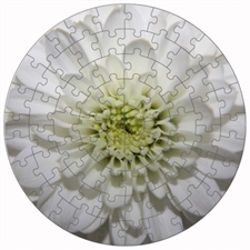Round Puzzles