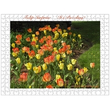 Traditional Jigsaw Puzzles