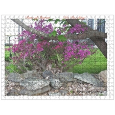 Traditional Jigsaw Puzzles