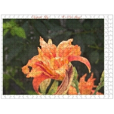 Traditional Jigsaw Puzzles