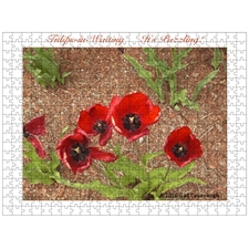 Traditional Jigsaw Puzzles