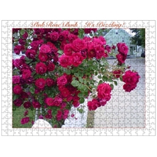 Traditional Jigsaw Puzzles