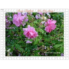 Traditional Jigsaw Puzzles