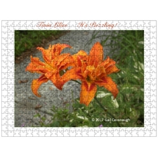 Traditional Jigsaw Puzzles