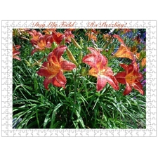 Traditional Jigsaw Puzzles