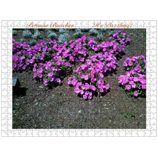 Traditional Jigsaw Puzzles