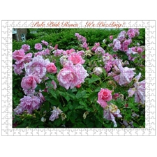 Traditional Jigsaw Puzzles