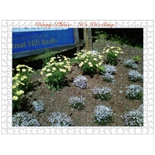 Traditional Jigsaw Puzzles