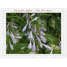 Traditional Jigsaw Puzzles