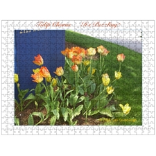 Traditional Jigsaw Puzzles