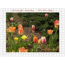 Traditional Jigsaw Puzzles