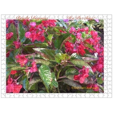 Traditional Jigsaw Puzzles