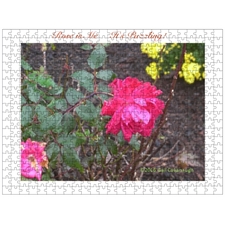 Traditional Jigsaw Puzzles