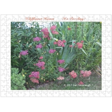 Traditional Jigsaw Puzzles