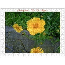 Traditional Jigsaw Puzzles