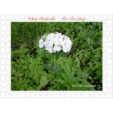 Traditional Jigsaw Puzzles