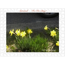 Traditional Jigsaw Puzzles