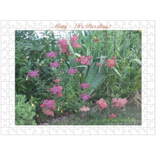 Traditional Jigsaw Puzzles