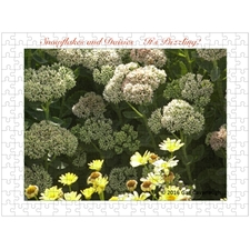 Traditional Jigsaw Puzzles