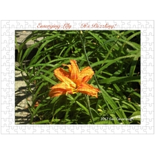 Traditional Jigsaw Puzzles