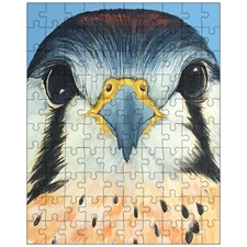 Jigsaw Puzzles 10