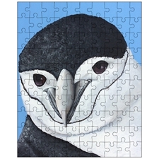 Jigsaw Puzzles 10