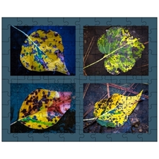 Jigsaw Puzzles 10