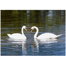 Traditional Jigsaw Puzzles