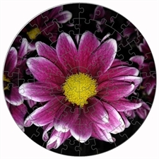 Round Puzzles