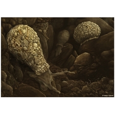 Traditional Jigsaw Puzzles