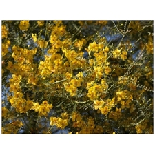 Traditional Jigsaw Puzzles