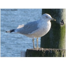 Traditional Jigsaw Puzzles