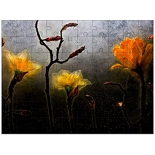 Traditional Jigsaw Puzzles