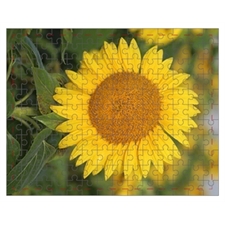 Mini Puzzle