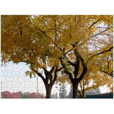 Traditional Jigsaw Puzzles