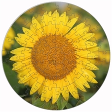 Round Puzzles