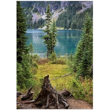 Traditional Jigsaw Puzzles