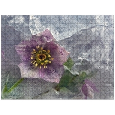 Traditional Jigsaw Puzzles