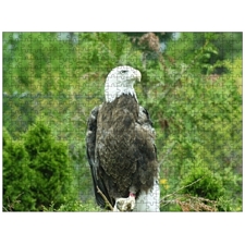 Traditional Jigsaw Puzzles