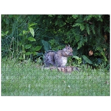 Traditional Jigsaw Puzzles