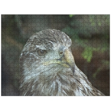 Traditional Jigsaw Puzzles