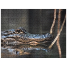 Traditional Jigsaw Puzzles