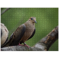 Traditional Jigsaw Puzzles