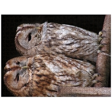 Traditional Jigsaw Puzzles