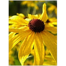 Traditional Jigsaw Puzzles
