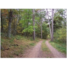 Traditional Jigsaw Puzzles