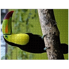 Traditional Jigsaw Puzzles
